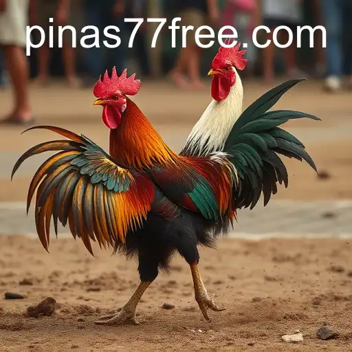 The Intricacies and Impacts of Cockfighting